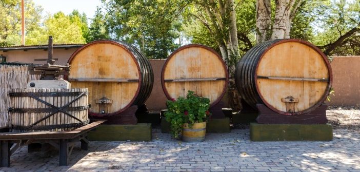 Edle Tropfen aus Südamerika: Argentinischer Wein Edle Tropfen aus Südamerika: Argentinischer Wein