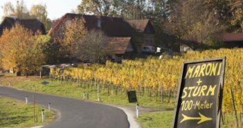 Die Glanzer Weintour zum Heurigen im Buschenschank in der Steiermark