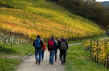 Weinwanderung an der Nahe: über den Wein-Wanderweg nach Martinstein