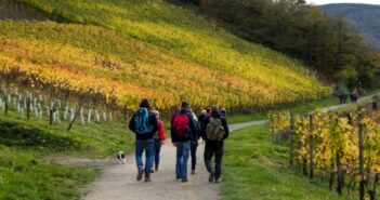 Weinwanderung an der Nahe: über den Wein-Wanderweg nach Martinstein