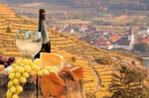Wissenswertes über Wein aus Österreich