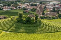 Weinurlaub in Südtirol