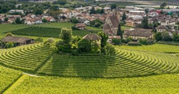Weinurlaub in Südtirol