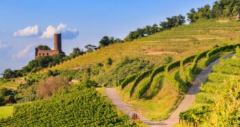 Badischer Wein: Die besten Weingüter zwischen Markgräflerland und Kaiserstuhl