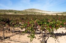 Monastrell: Kräftiger Rotwein aus dem Süden Spaniens