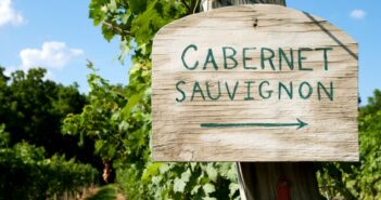 Cabernet Sauvignon: der rote Weltwein