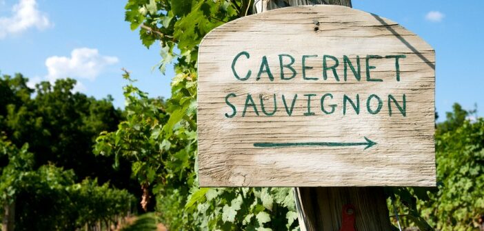 Cabernet Sauvignon: der rote Weltwein