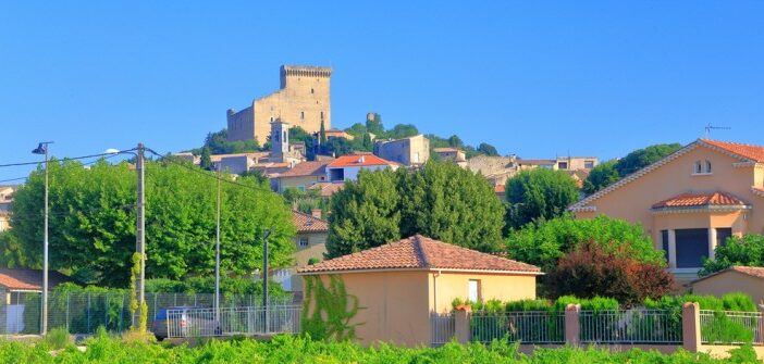 Chateauneuf du Pape: von ALDI oder doch lieber aus dem Fachhandel?