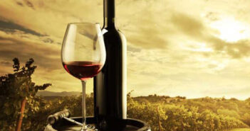 Bardolino Wein und der Gardasee