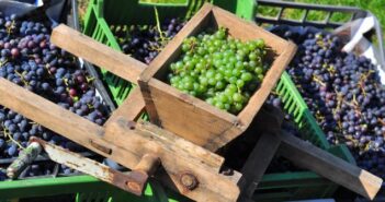 Sancerre 2013 von ALDI: L’Escarpe von Grands Vins Selection, Saint Jean d’Ardieres