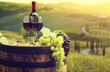 Weingut kaufen: warum immer mehr Manager am Wochenende den Winzer geben
