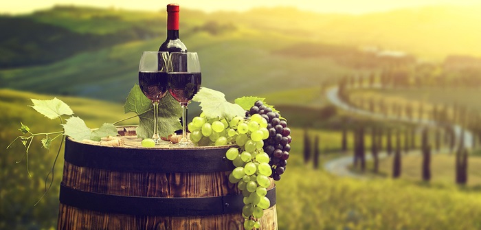Weingut kaufen: warum immer mehr Manager am Wochenende den Winzer geben