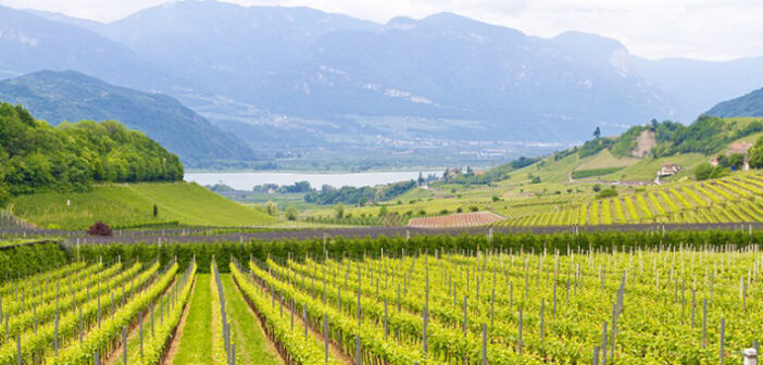 Urlaub im Oktober: Ideen für Weinliebhaber!