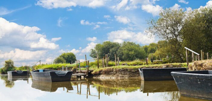 Naturpark in Frankreich – für Weinliebhaber ein toller Tipp!