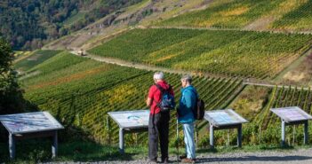 Rotweinwanderweg: 5 Rotweinwanderungen in Deutschland