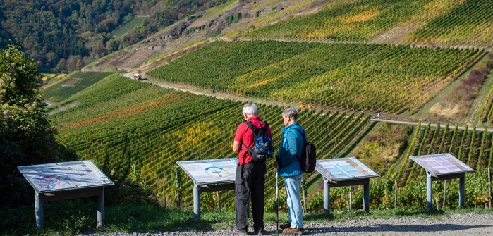 Rotweinwanderweg: 5 Rotweinwanderungen in Deutschland