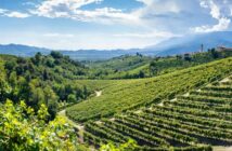 Venetien: Reiseziele, Rebsorten und Gaumenfreuden. Unser Titelbild zeigt das Valdobbiadene Treviso in Italien: Hügel und Weinberge auf der berühmten Weinroute des Prosecco (Foto: shutterstock - Claudio Stocco)