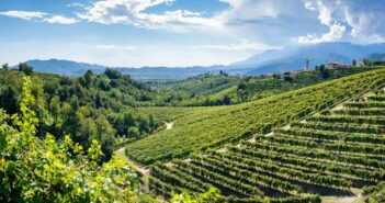 Venetien: Reiseziele, Rebsorten und Gaumenfreuden. Unser Titelbild zeigt das Valdobbiadene Treviso in Italien: Hügel und Weinberge auf der berühmten Weinroute des Prosecco (Foto: shutterstock - Claudio Stocco)