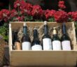Weinkisten aus Holz: Edel Verpackungen für edle Tropfen ( Foto: Adobe Stock- Pavlo Burdyak )